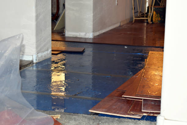 Professional Sewage Cleanup technician working in Warren, IN